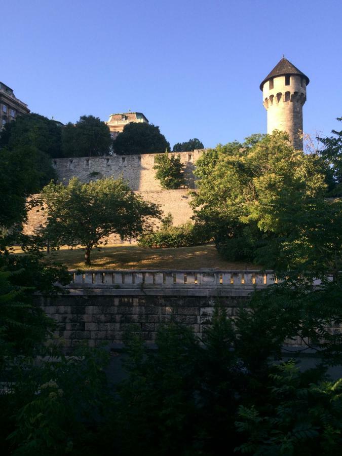 بودابست Luxury Apartment View On To The Castle المظهر الخارجي الصورة